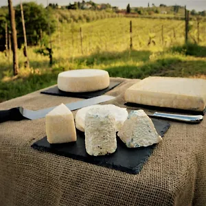  Bed & Breakfast Fattoria Le Caprine